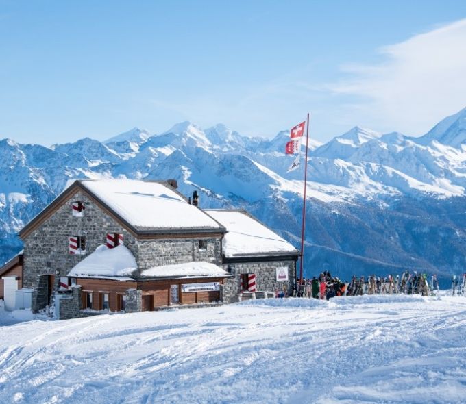 La Cabane des Violettes